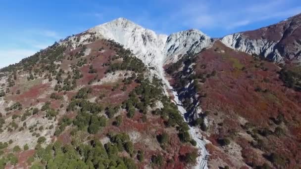 Αεροφωτογραφία Του Λόφου Impodi Και Των Δέντρων Araucaria Και Nothofagus — Αρχείο Βίντεο
