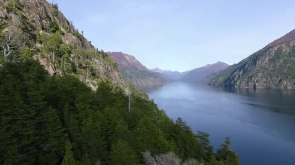 Vista Aérea Del Bosque Montañas Lago Nahuel Huapi Desde Colina — Vídeo de stock
