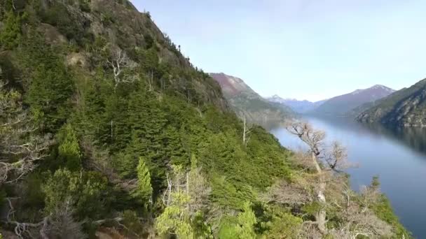 Veduta Aerea Della Foresta Delle Montagne Del Lago Una Giornata — Video Stock