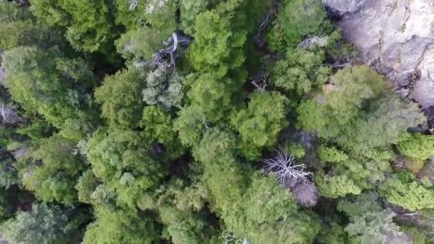 Floresta Mágica Vista Aérea Floresta Verde Penhasco Rochoso Íngreme Lago — Vídeo de Stock