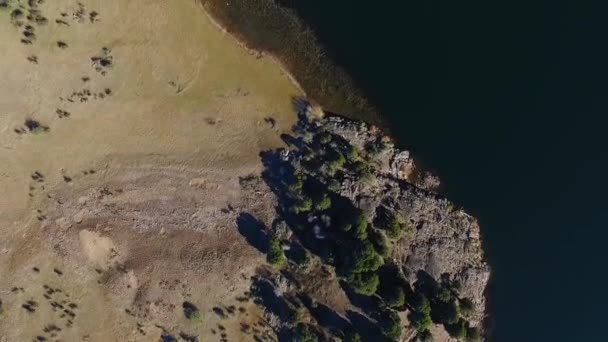 Luftaufnahme Des Gelben Feldes Und Des Sees Herbst — Stockvideo