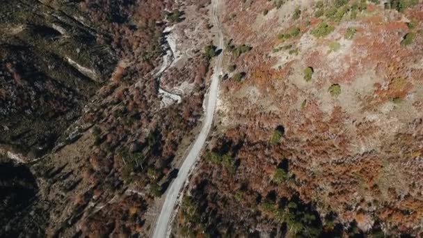 Вид Воздуха Грунтовую Дорогу Через Долину Лес Горы Голубым Небом — стоковое видео