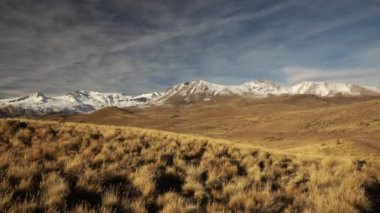 Alp manzarası. Sonbaharda sarı çayır ve dağların manzarası. Patagonya 'daki Volkan Domuyo ve And Dağları kordillerası manzarası.