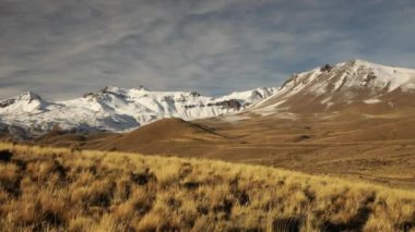 Alp manzarası. Sonbaharda sarı çayır ve dağların manzarası. Patagonya 'daki Volkan Domuyo ve And Dağları kordillerası manzarası.
