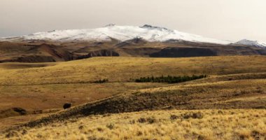 Sonbaharda Alp manzarası. Sarı çayır manzarası, altın vadi, dağlar ve Patagonya 'da karlı bir zirvesi olan volkan Domuyo manzarası..