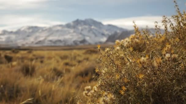 Alpenlandschaft Blick Auf Den Vulkan Domuyo Und Die Anden Patagonien — Stockvideo