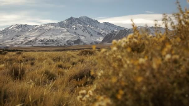 Αλπικό Τοπίο Άποψη Του Ηφαιστείου Domuyo Και Των Άνδεων Βουνά — Αρχείο Βίντεο