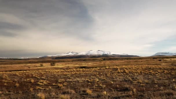 Landelijk Landschap Herfst Panoramisch Uitzicht Gele Weide Bergen Achtergrond — Stockvideo