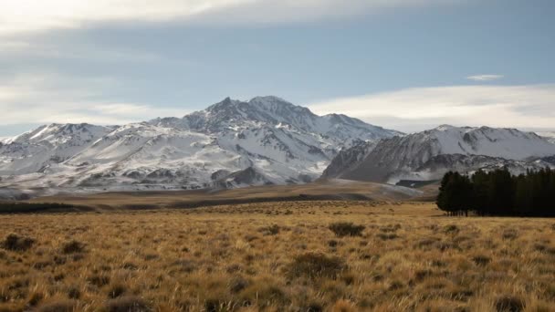 高山の風景 パタゴニアアルゼンチンのドーム火山とアンデス山脈の眺め 秋の黄色の草原と黄金の谷の眺め — ストック動画