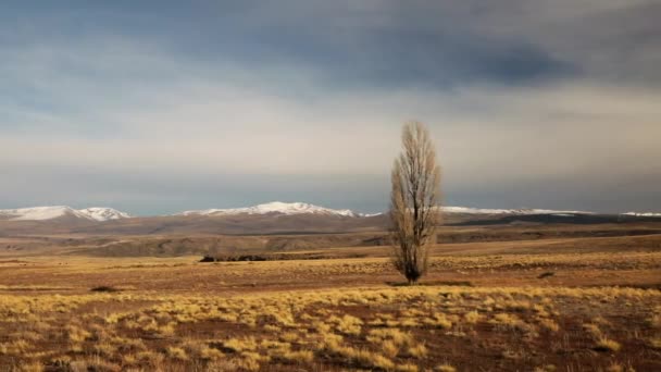 Paysage Rural Automne Panoramique Des Prairies Jaunes Vallée Dorée Des — Video
