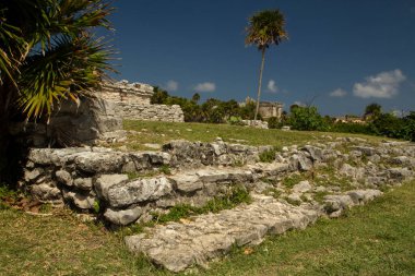 Maya kültürü. Antik uygarlık mimarisi hala duruyor. Tulum, Meksika 'daki kutsal Maya taş şehri yıkıldı..