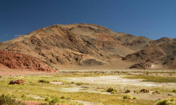 Geología Cordillera Los Andes Vista Panorámica Las Montañas Hierba Amarilla — Foto de Stock