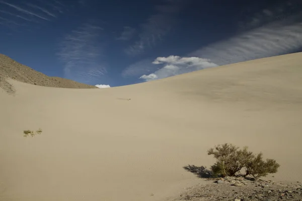 Dune Sable Dans Désert Aride — Photo