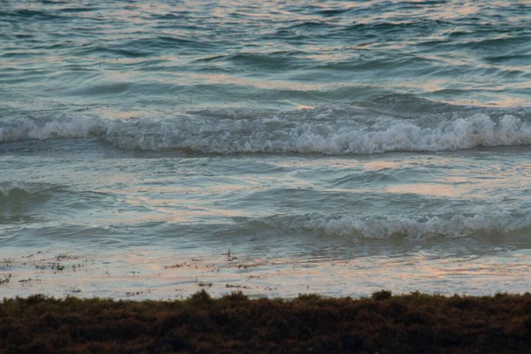 Seelandschaft Der Weiße Sand Goldammer Sargassum Blauer Ozean Und Meereswellen — Stockfoto
