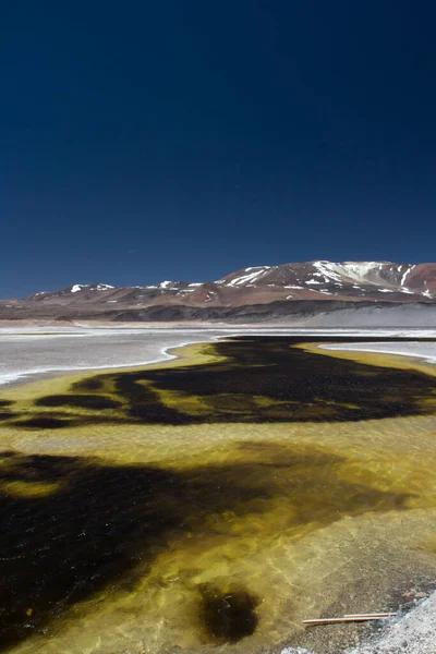 火山口高耸在警戒线上 阿根廷卡塔马卡的黄黑色池塘 天然盐滩 安第斯山脉和冰川水绿湖全景 — 图库照片