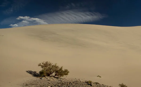 砂漠の風景 アルゼンチンのカタマルカで魔法の砂丘と呼ばれる魅惑的な砂丘の景色 — ストック写真