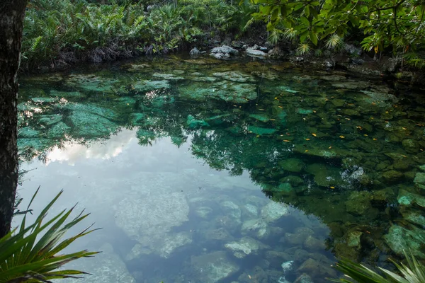 迷人的风景 热带棕榈树的叶子和热带雨林中翡翠色的水的映衬 透明清澈的天然池塘 有岩石床 — 图库照片