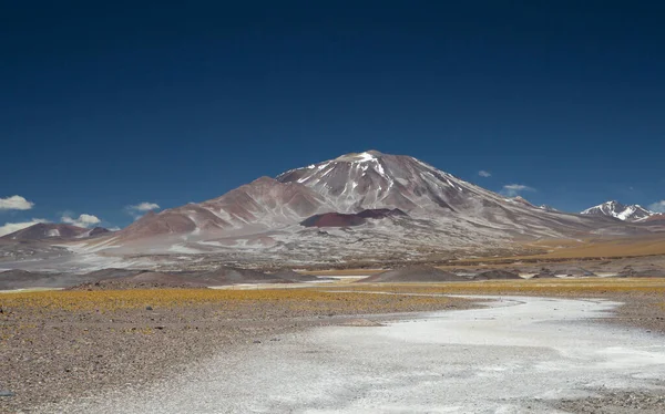 Sopečná Krajina Pohoří Pohled Sopku Incahuasi Zlatou Louku Přírodní Solný — Stock fotografie