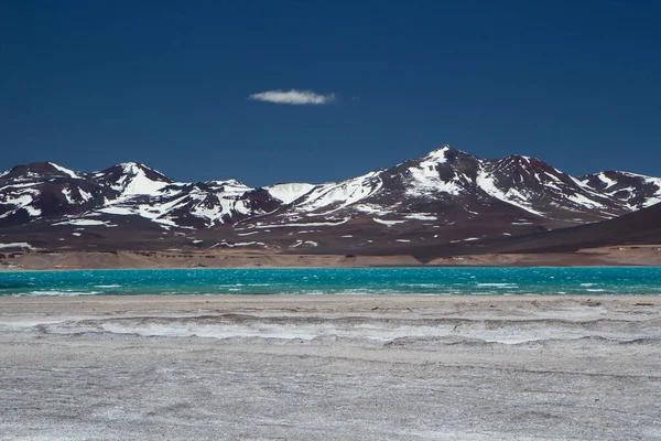 コルディレラの高山の風景です アンデス山脈の美しいターコイズブルーの氷河の水湖は 深い青い空の下 天然塩のフラットと暗い山々に囲まれています — ストック写真