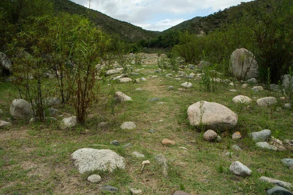 Senderismo Camino Hierba Vacía Través Del Bosque Verde Las Montañas — Foto de Stock