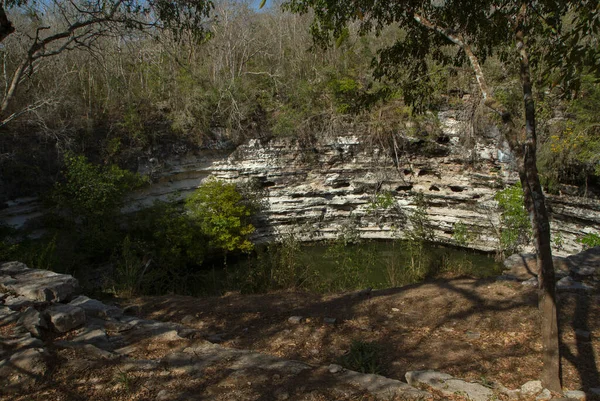 Oude Maya Cultuur Heilige Maya Natuurlijke Cenote Waar Offers Werden — Stockfoto