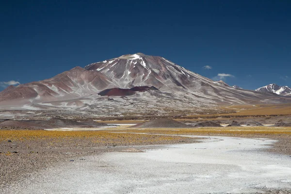 Paisaje Volcánico Cordillera Los Andes Vista Del Volcán Incahuasi Prado — Foto de Stock