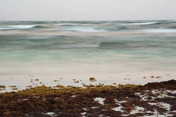 Colpo Lunga Esposizione Spiaggia Tramonto Sabbia Bianca Alghe Sargassose Onde — Foto Stock