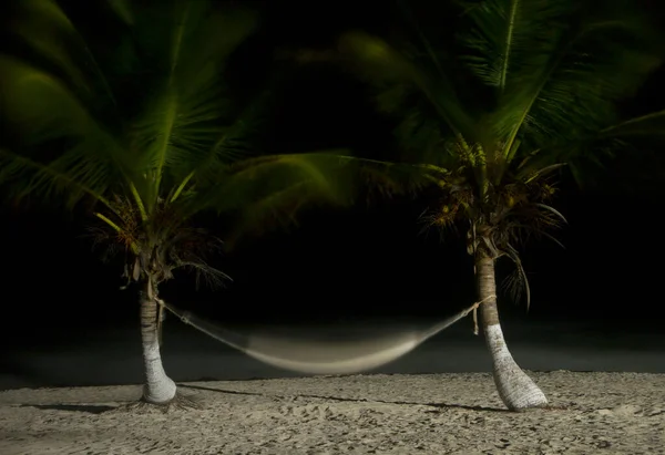 Nachtschuss Der Strand Bei Nacht Langzeitbelichtungsaufnahme Von Zwei Palmen Die — Stockfoto