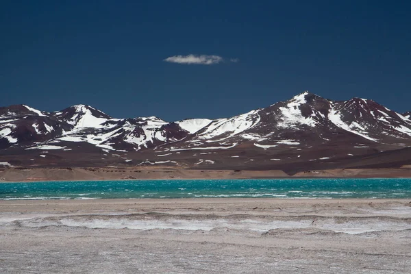 안데스 산맥의 지대입니다 석호라고 청록색 코르디예라높은 눈덮인 봉우리 화산들이 어두운 — 스톡 사진