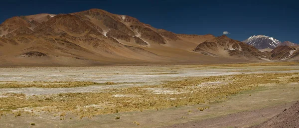 Οροσειρά Των Άνδεων Πανόραμα Άποψη Του Καφέ Βουνά Κίτρινο Γρασίδι — Φωτογραφία Αρχείου