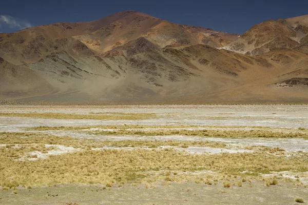Cordillera Los Andes Vista Panorámica Las Montañas Marrones Hierba Amarilla — Foto de Stock