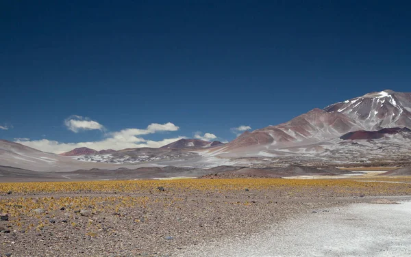Vulkanisch Landschap Het Andesgebergte Uitzicht Vulkaan Incahuasi Dorre Vallei Gouden — Stockfoto