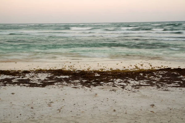 Langzeitaufnahmen Vom Strand Sargassum Algen Weißem Sand Und Verschwommenen Meereswellen — Stockfoto