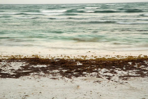 Langzeitaufnahmen Vom Strand Sargassum Algen Weißem Sand Und Verschwommenen Meereswellen — Stockfoto