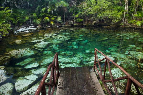 Paraíso Tropical Pista Madera Que Conduce Cenote Agua Color Esmeralda — Foto de Stock