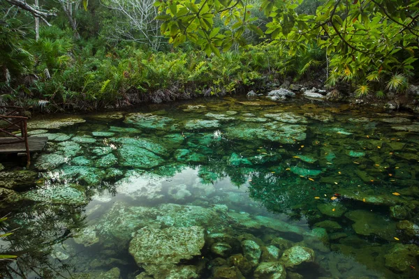 Paradis Tropical Texture Naturelle Cénote Eau Couleur Émeraude Dans Jungle — Photo