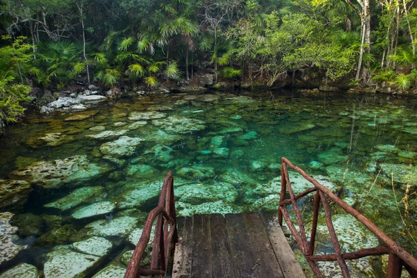 Tropický Ráj Dřevěná Dráha Vedoucí Smaragdově Zbarvené Vodní Cenote Džungli — Stock fotografie