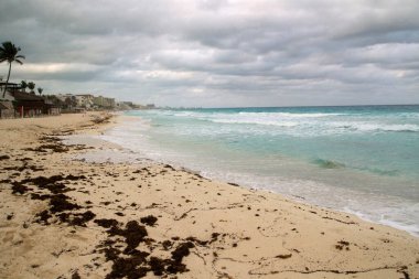 Bulutlu bir günde tropik plaj. Beyaz kumsal manzarası, yosun yosunu, turkuaz rengi okyanus, deniz dalgaları ve Meksika, Cancun 'daki sahil şeridi.. 