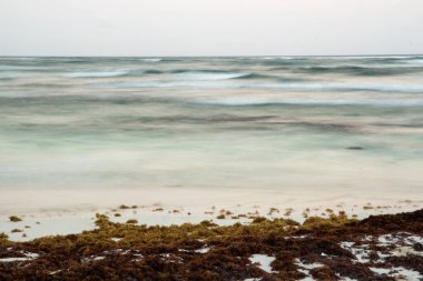 Uzun pozlama. Yaz. Güneş doğarken sahil ve turkuaz su okyanusu. Yosun ve bulanık deniz dalgalarıyla dolu beyaz kum kıyısı büyülü bir şafak ışığı ile.