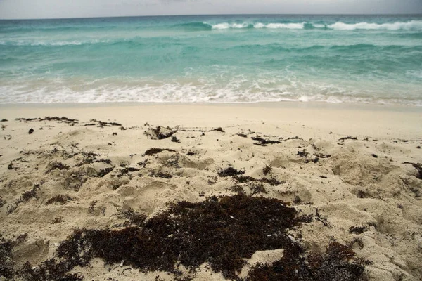 Leerer Tropischer Strand Einem Stürmischen Tag — Stockfoto