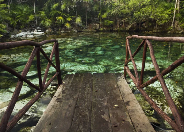 Paraíso Tropical Pista Madera Que Conduce Cenote Agua Color Esmeralda —  Fotos de Stock