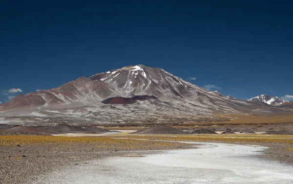 Vulkanisch Landschap Het Andesgebergte Uitzicht Natuur Alt Plat Gele Weide — Stockfoto