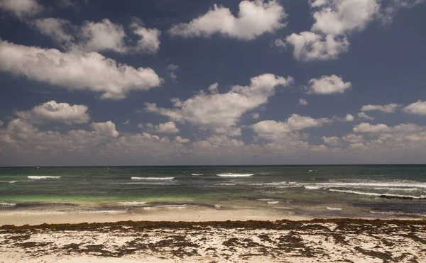 Playa Tropical Remota Orilla Arena Blanca Sargassum Gulfweed Océano Color — Foto de Stock