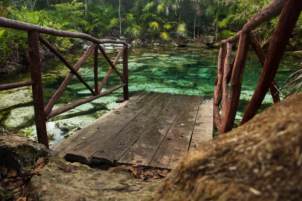 Paraíso Tropical Pista Madera Que Conduce Cenote Agua Color Esmeralda —  Fotos de Stock