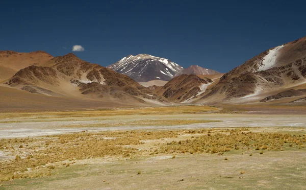 安第斯山脉 在深蓝色的天空下 俯瞰着黄色的草地 棕色的山 金黄的山谷和英卡瓦西火山的全景 — 图库照片