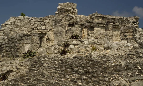 Starożytna Architektura Cywilizacji Najświętsze Ruiny Kamienia Majów Tulum Meksyk — Zdjęcie stockowe