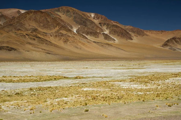 Andácké Pohoří Panorama Pohled Hnědé Hory Žlutou Trávu Údolí Pod — Stock fotografie