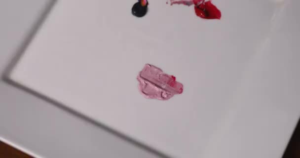 Art Vista Primer Plano Del Artista Cargando Pintura Rosa Con — Vídeo de stock