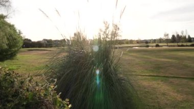 Gün batımında golf sahası ve göl turu.