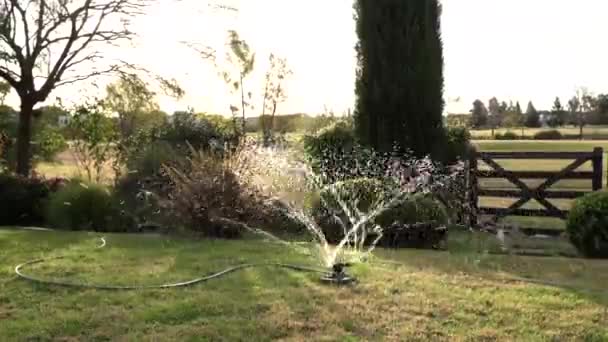 Κηπουρική Ψεκαστήρας Που Συνδέεται Σωλήνα Αρδεύοντας Τον Κήπο Ηλιοβασίλεμα — Αρχείο Βίντεο